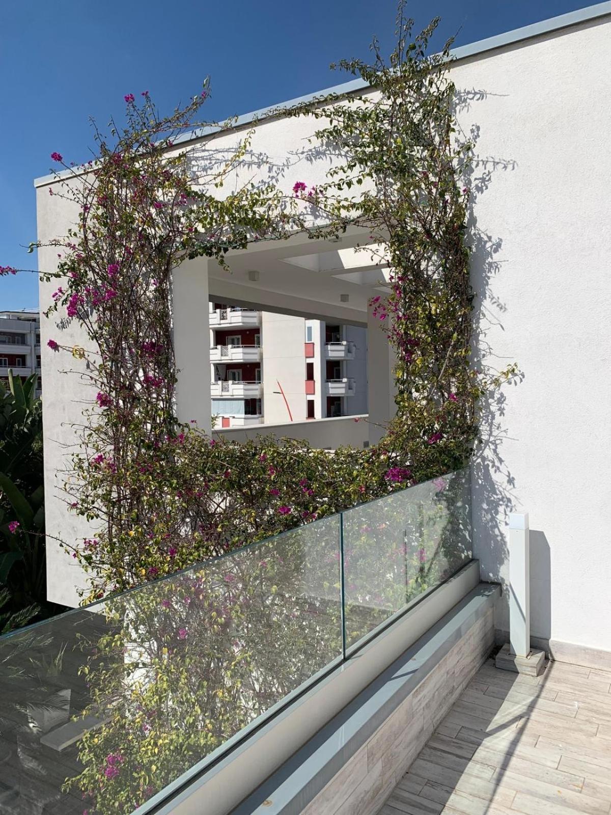 Casa Vacanze Volla  Exteriér fotografie
